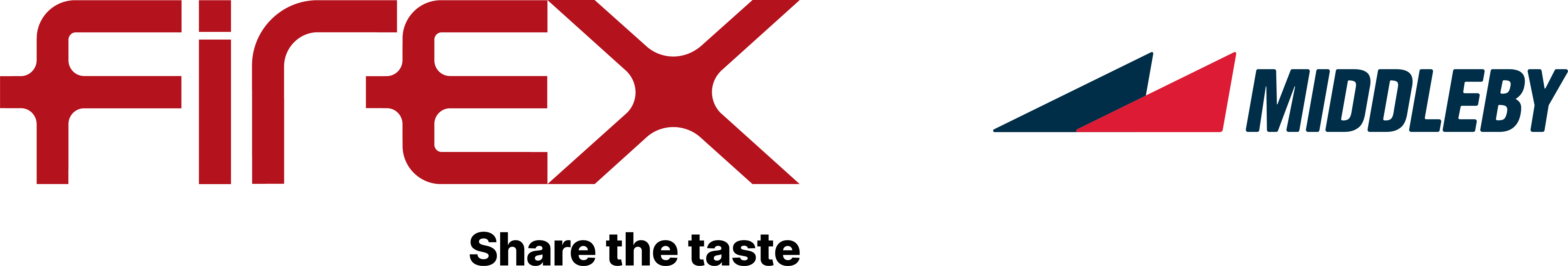 FIREX SRL